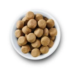 Nature's Variety Complete Freeze Dried Adult Dry Dog Food - Turkey -KONG || Danish Design || Tropiclean Shop 5025730008978 03