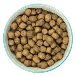 Burns Original Adult/Senior Dry Dog Food - Chicken & Brown Rice -KONG || Danish Design || Tropiclean Shop I0038256 en 06