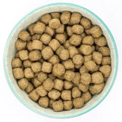 Burns Weight Control Adult/Senior Dry Dog Food - Chicken & Oats -KONG || Danish Design || Tropiclean Shop I0038271 en 05