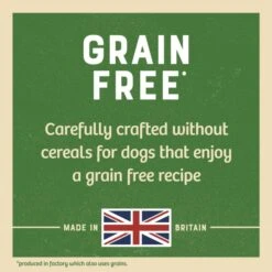 James Wellbeloved Grain Free Adult Dry Dog Food - Lamb & Vegetable -KONG || Danish Design || Tropiclean Shop I0042159 en 05