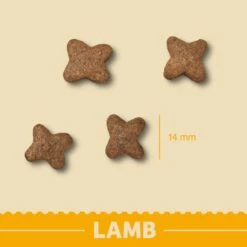 James Wellbeloved Grain Free Adult Dry Dog Food - Lamb & Vegetable -KONG || Danish Design || Tropiclean Shop I0042159 en 07