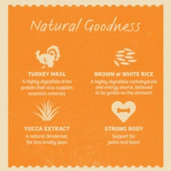 James Wellbeloved Large Adult Dry Dog Food - Turkey & Rice -KONG || Danish Design || Tropiclean Shop I0042163 en 06