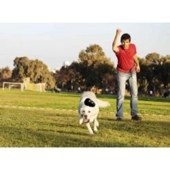 KONG || Danish Design || Tropiclean Shop -KONG || Danish Design || Tropiclean Shop I0042761 en 06