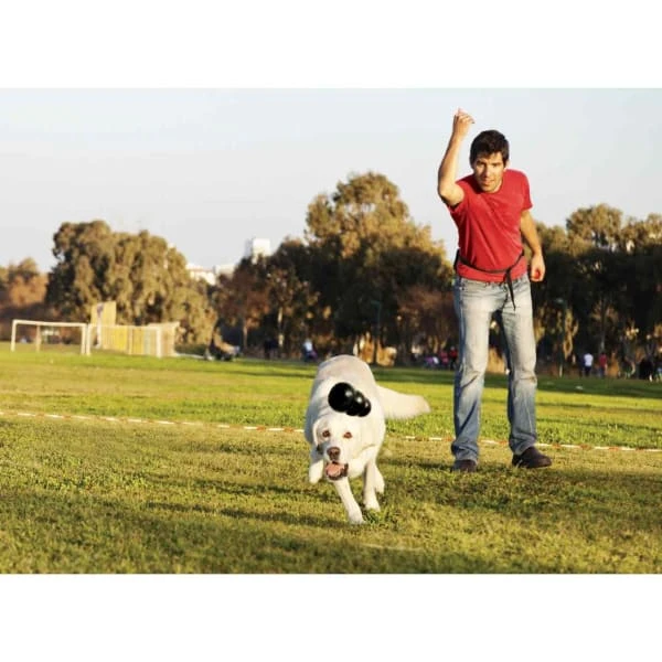 Kong Extreme Chew Dog Toy In Black 4 Kong Extreme Chew Dog Toy In Black - Image 2