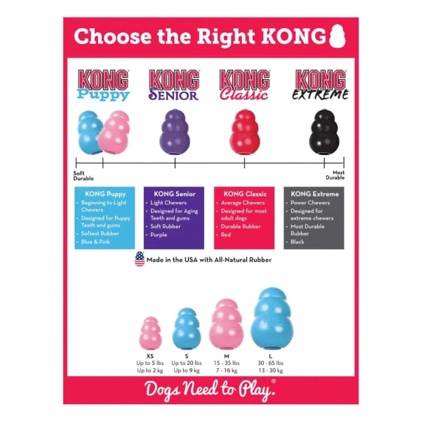Kong Puppy Assorted Chew Dog Toy 7 Kong Puppy Assorted Chew Dog Toy - Image 5