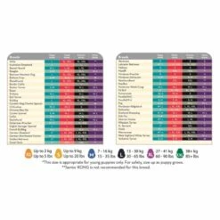 Kong Puppy Assorted Chew Dog Toy 12 Kong Puppy Assorted Chew Dog Toy -KONG || Danish Design || Tropiclean Shop I0042789 en 05