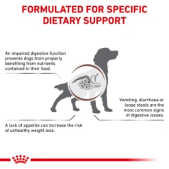 Royal Canin Gastrointestinal Adult Dry Dog Food -KONG || Danish Design || Tropiclean Shop I0045303 en 03