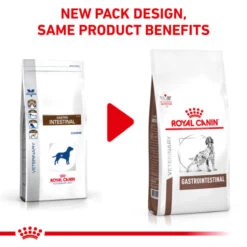 Royal Canin Gastrointestinal Adult Dry Dog Food -KONG || Danish Design || Tropiclean Shop I0045303 en 04