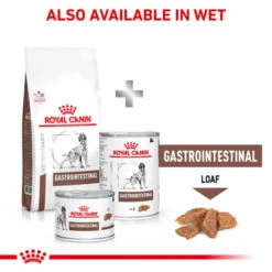 Royal Canin Gastrointestinal Adult Dry Dog Food -KONG || Danish Design || Tropiclean Shop I0045303 en 07
