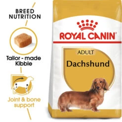Royal Canin Dachshund Adult Dry Dog Food -KONG || Danish Design || Tropiclean Shop I0045353