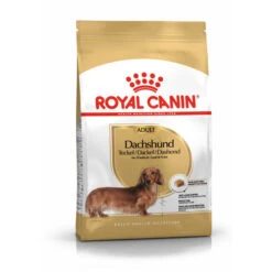 Royal Canin Dachshund Adult Dry Dog Food -KONG || Danish Design || Tropiclean Shop I0045353 en 02