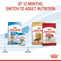 Royal Canin Medium Puppy Dry Dog Food -KONG || Danish Design || Tropiclean Shop I0045447 en 05