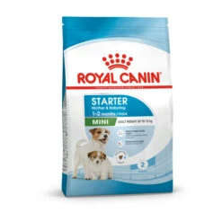 Royal Canin Mini Starter Mother & Babydog Adult/Puppy Dry Dog Food 13 Royal Canin Mini Starter Mother & Babydog Adult/Puppy Dry Dog Food -KONG || Danish Design || Tropiclean Shop I0045465