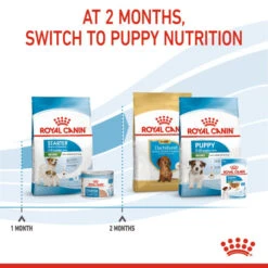 Royal Canin Mini Starter Mother & Babydog Adult/Puppy Dry Dog Food 10 Royal Canin Mini Starter Mother & Babydog Adult/Puppy Dry Dog Food -KONG || Danish Design || Tropiclean Shop I0045465 en 04