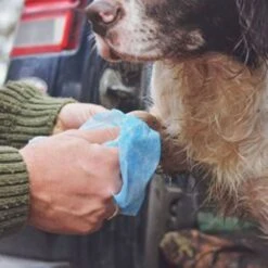 Animology Clean Sheets