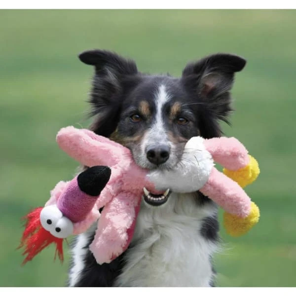 Kong Wild Knots Bird Dog Toy 4 Kong Wild Knots Bird Dog Toy - Image 2