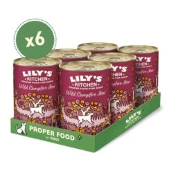 Lily's Kitchen Adult Wet Dog Food - Wild Campfire Stew -KONG || Danish Design || Tropiclean Shop I9101090 en