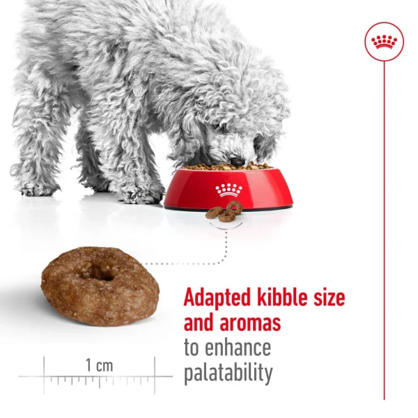Royal Canin Mini Ageing 12+ Senior Dry Dog Food 7 Royal Canin Mini Ageing 12+ Senior Dry Dog Food - Image 5