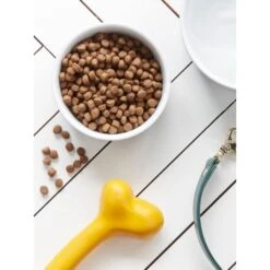 Canine Choice Super Premium Grain Free Small Adult Dry Dog Food - Chicken