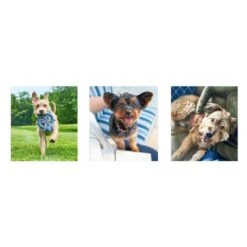 Hill's Hill’s Science Plan Canine 7+ Youthful Vitality Medium Dog Food