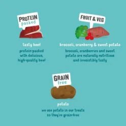 Edgard & Cooper Good Boy Grain Free Dog Treats - Beef Bites -KONG || Danish Design || Tropiclean Shop I9420315 en 03