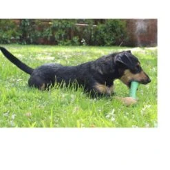 Beco Pets Bone Dog Toy In Green