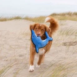 Beco Pets Rough & Tough Dog Toy Dolphin -KONG || Danish Design || Tropiclean Shop I9429291 en 01