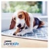 Purina Dentalife Small Adult Dog Chew Treat