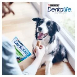 Purina Dentalife Medium Adult Dog Daily Chew Treat -KONG || Danish Design || Tropiclean Shop I9435291 en 09