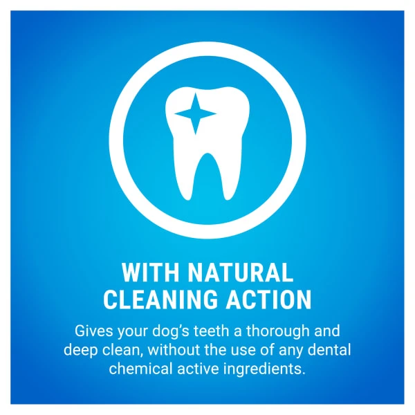 Purina Dentalife Large Adult Dog Daily Chew Treat 15 Purina Dentalife Large Adult Dog Daily Chew Treat - Image 13