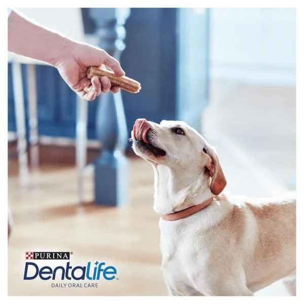 Purina Dentalife Large Adult Dog Daily Chew Treat 7 Purina Dentalife Large Adult Dog Daily Chew Treat - Image 5