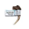 Antos Antler Small Dog Treats -KONG || Danish Design || Tropiclean Shop I9469311
