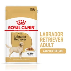 Royal Canin Labrador Retriever Adult Wet Dog Food - Loaf In Sauce -KONG || Danish Design || Tropiclean Shop I9474299