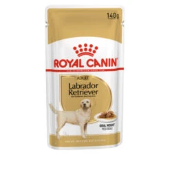 Royal Canin Labrador Retriever Adult Wet Dog Food - Loaf In Sauce -KONG || Danish Design || Tropiclean Shop I9474299 en 02