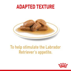 Royal Canin Labrador Retriever Adult Wet Dog Food - Loaf In Sauce -KONG || Danish Design || Tropiclean Shop I9474299 en 04