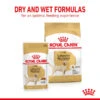 Royal Canin Labrador Retriever Adult Wet Dog Food - Loaf In Sauce 2 Royal Canin Labrador Retriever Adult Wet Dog Food - Loaf In Sauce -KONG || Danish Design || Tropiclean Shop I9474299 en 07