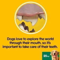 Pedigree Dentastix Daily Adult Large Dog Dental Treats 14 Pedigree Dentastix Daily Adult Large Dog Dental Treats -KONG || Danish Design || Tropiclean Shop I9491316 en 07
