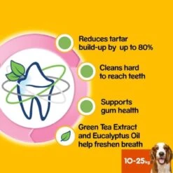 Pedigree Dentastix Fresh Daily Adult Medium Dog Dental Treats -KONG || Danish Design || Tropiclean Shop I9491334 en 04