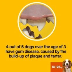 Pedigree Dentastix Fresh Daily Adult Medium Dog Dental Treats -KONG || Danish Design || Tropiclean Shop I9491334 en 06