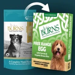 Burns Adult And Senior Wet Dog Food - Egg With Carrots & Organic Brown Rice -KONG || Danish Design || Tropiclean Shop I9499279 en 03
