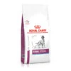 Royal Canin Renal Special Adult Dry Dog Food -KONG || Danish Design || Tropiclean Shop I9499280