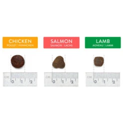 Canine Choice Adult Medium Grain Free Dog Food - Chicken -KONG || Danish Design || Tropiclean Shop I9499362 en 04