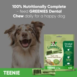 Greenies Adult Dental Dog Chews Treat - Teenie -KONG || Danish Design || Tropiclean Shop I9499513 en 06