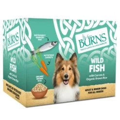 Burns Adult And Senior Wet Dog Food - Wild Fish With Carrots & Organic Brown Rice -KONG || Danish Design || Tropiclean Shop I9520616