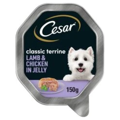 Cesar Classic Terrine With Juicy Lamb And Chicken In Jelly -KONG || Danish Design || Tropiclean Shop I9520776