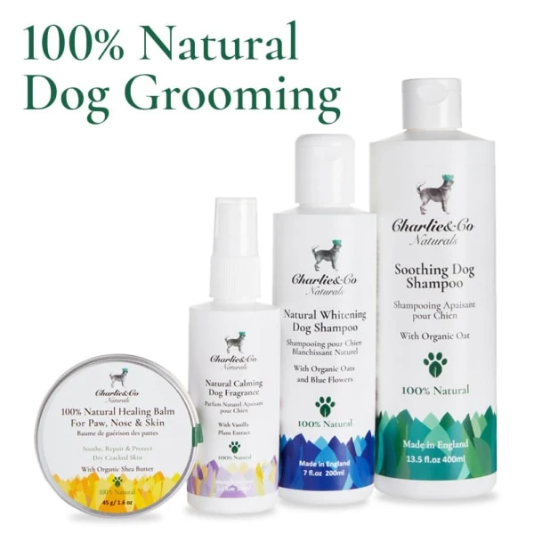 Charlie & Co Natural 100% Natural Whitening Shampoo For Dog 4 Charlie & Co Natural 100% Natural Whitening Shampoo For Dog - Image 2