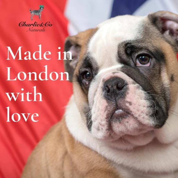 Charlie & Co Natural 100% Natural Whitening Shampoo For Dog 3 Charlie & Co Natural 100% Natural Whitening Shampoo For Dog