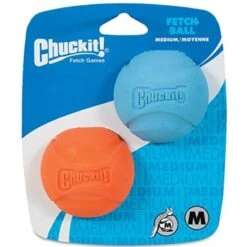 Chuckit! Chuckit Fetch Ball 6.5cm Dog Toy