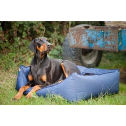 Earthbound Rectangular Removable Waterproof Dog Bed Brown -KONG || Danish Design || Tropiclean Shop I9520942 01