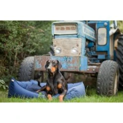 Earthbound Rectangular Removable Waterproof Dog Bed Brown